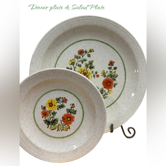 Vintage Homer Laughlin Garden Song 70’s Dinner Plate and Salad/Dessert Plate - Picture 1 of 6